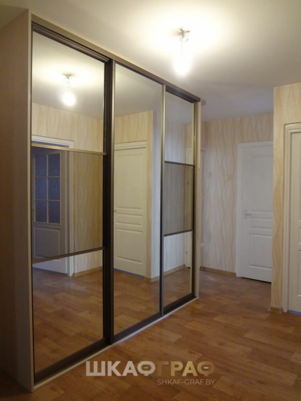 Встроенный шкаф-купе в коридор с зеркалом