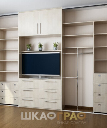 Шкаф-купе в гостиную №47 5