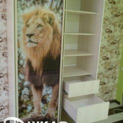 Шкаф-купе в спальню с фотопечатью лев