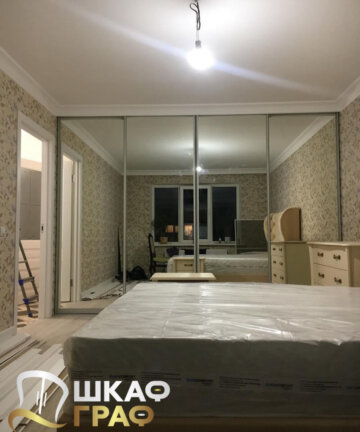 Гардеробная на всю стену с зеркалом Graf № 100