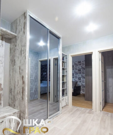 Шкаф-купе в стиле лофт в прихожую Graf № 254