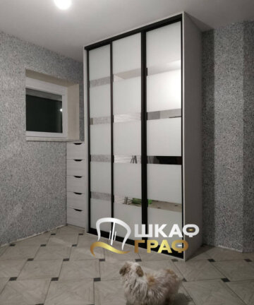 Шкаф-купе комбинированный № M-46