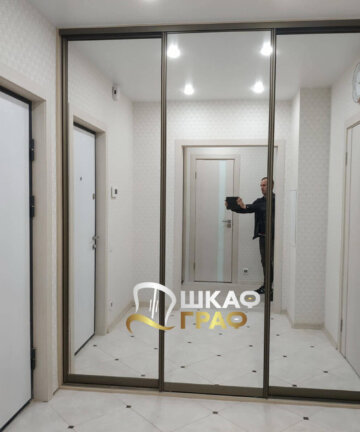 Шкаф-купе на всю стену в коридор № M-54