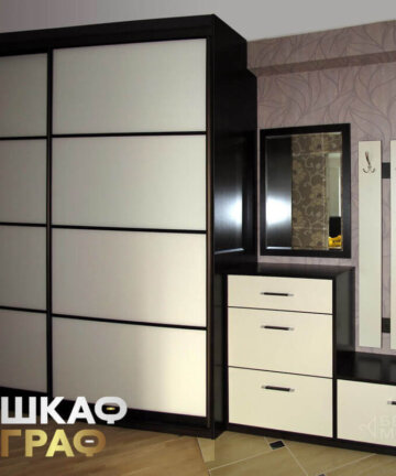Шкаф-купе для обуви в прихожую №257