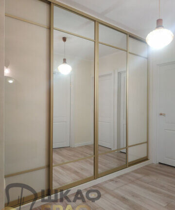 Шкаф-купе во всю стену с зеркалами №M113 5